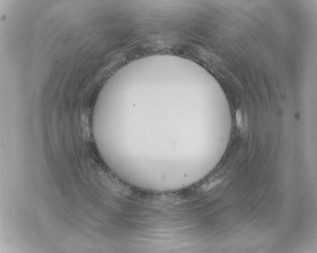 X0000070881203200607071939