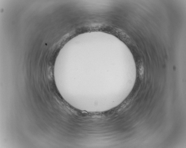 X0000070881204200607071939