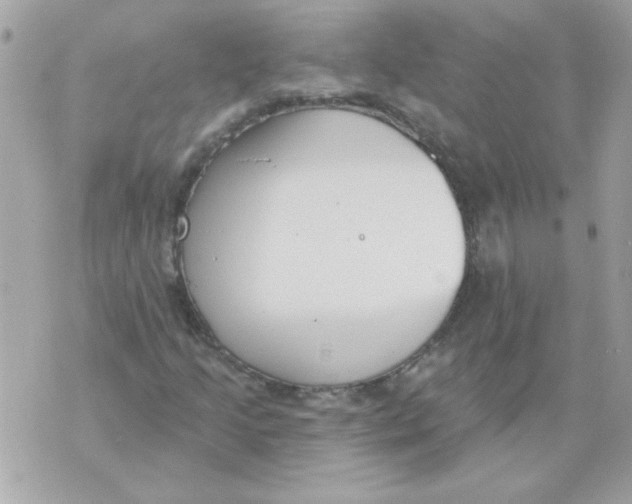 X0000070881205200607071939