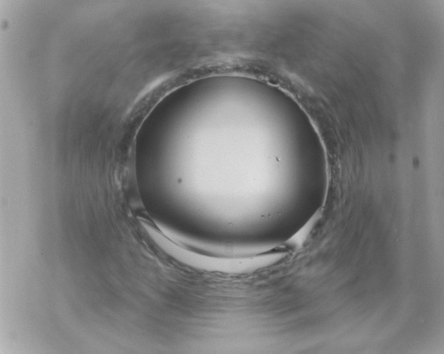 X0000070881206200607071939