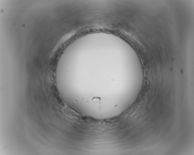 X0000070881207200607071939