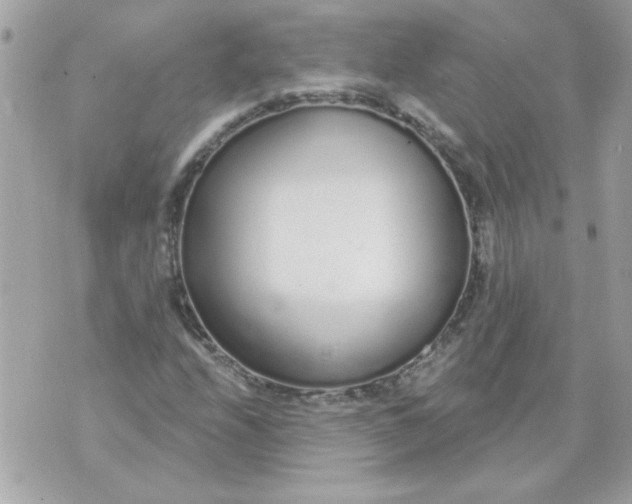 X0000070881208200607071939