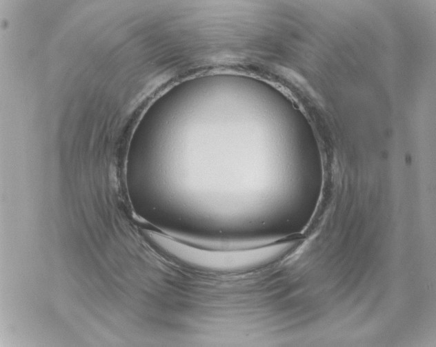 X0000070881209200607071939