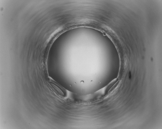 X0000070881210200607071939