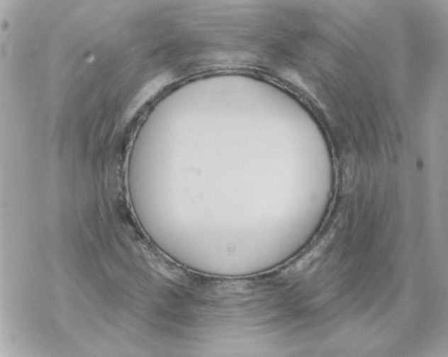 X0000070881211200607071939