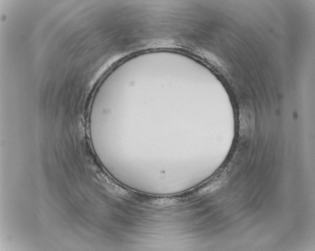 X0000070881212200607071939