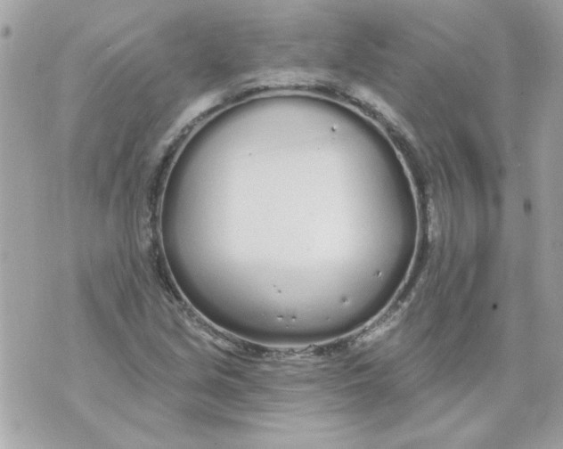 X0000070881213200607071939