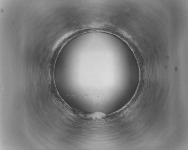 X0000070881214200607071939