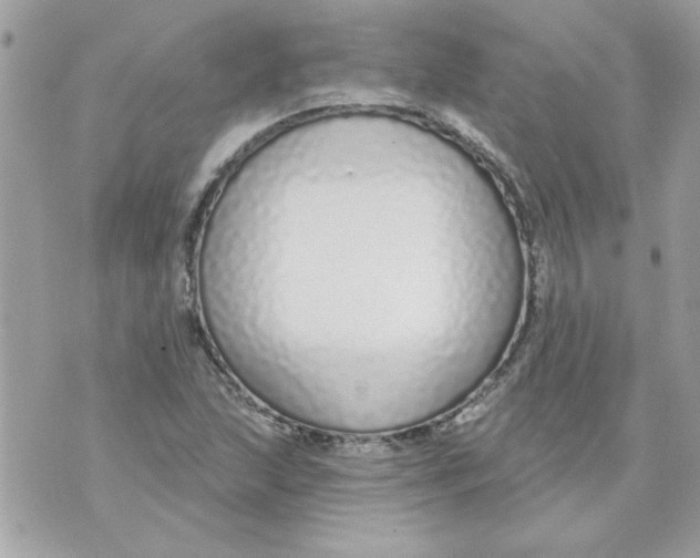 X0000070881215200607071939