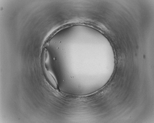 X0000070881216200607071939