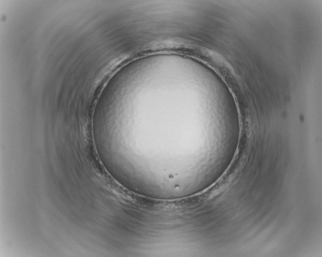 X0000070881217200607071939