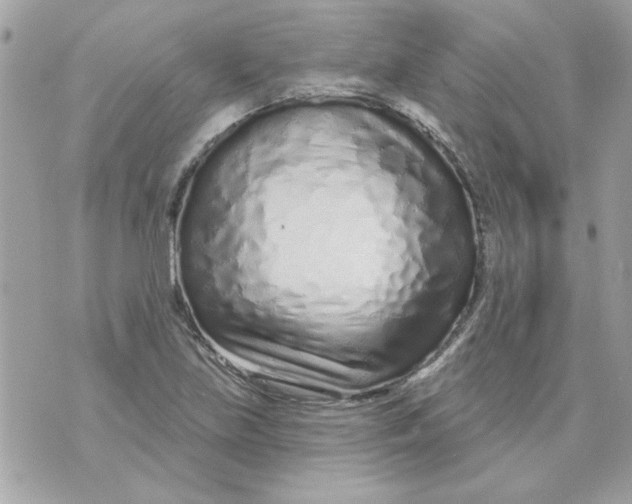 X0000070881219200607071939