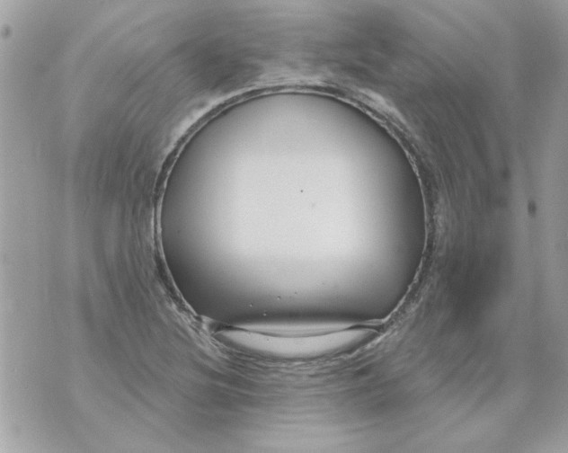 X0000070881220200607071939