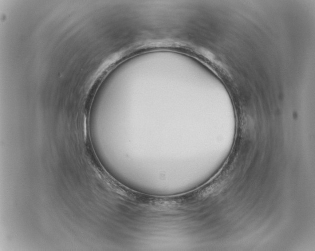 X0000070881221200607071939