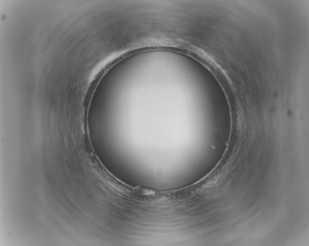 X0000070881222200607071939