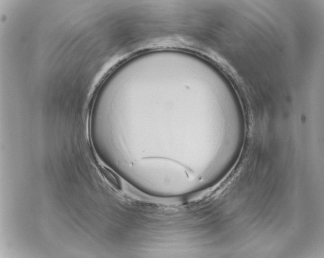 X0000070881224200607071939