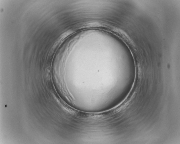 X0000070881225200607071939