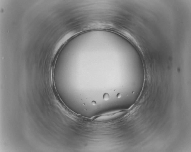 X0000070881227200607071939