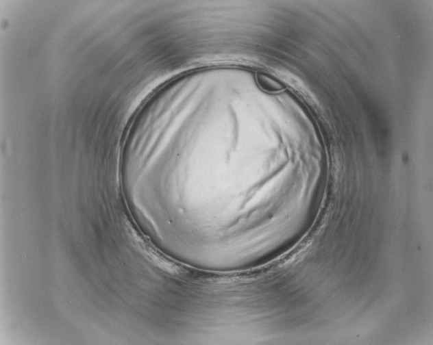 X0000070881228200607071939