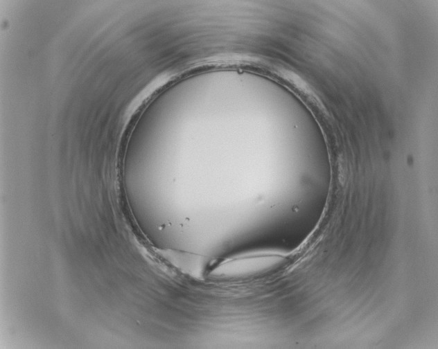 X0000070881229200607071939