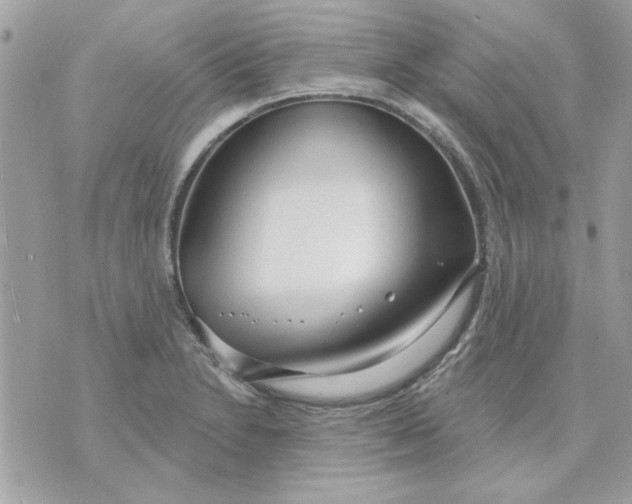 X0000070881230200607071939