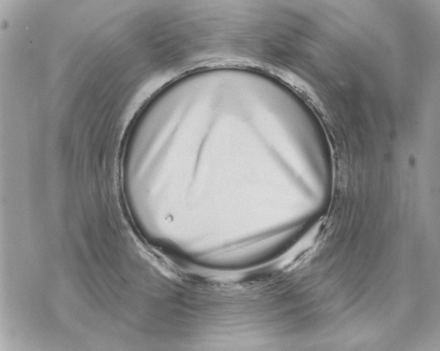 X0000070881231200607071940