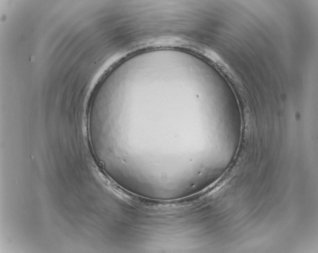 X0000070881232200607071940