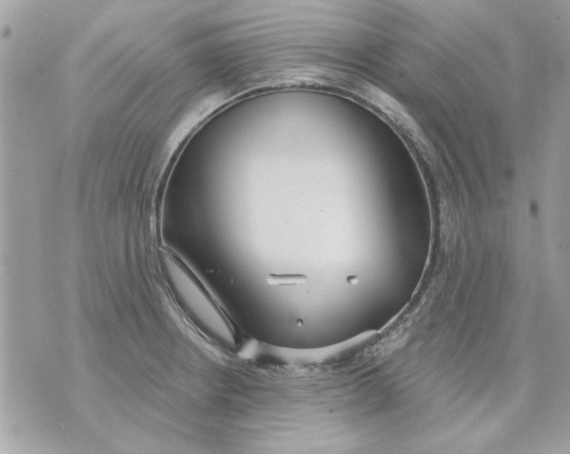 X0000070881234200607071940