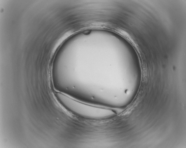 X0000070881235200607071940