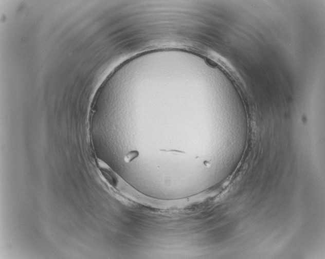 X0000070881236200607071940