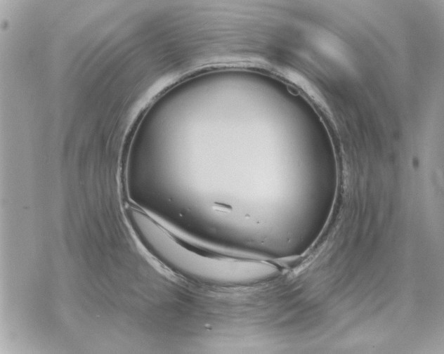 X0000070881237200607071940