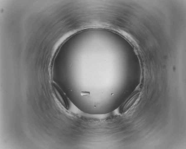 X0000070881238200607071940