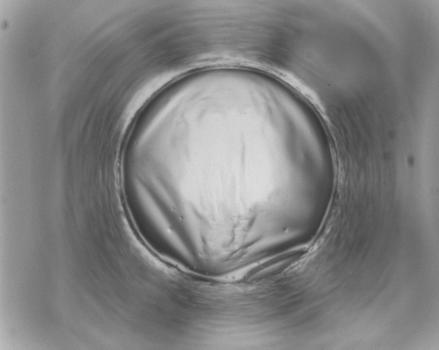 X0000070881239200607071940