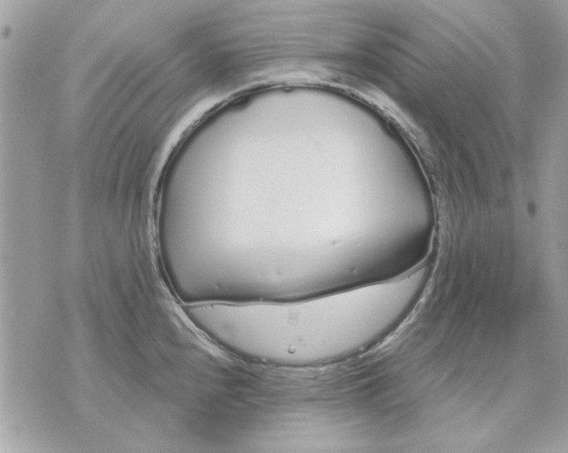 X0000070881240200607071940