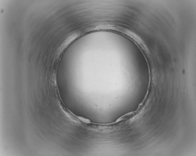 X0000070881241200607071940