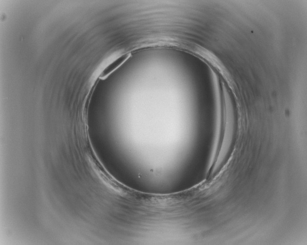 X0000070881242200607071940