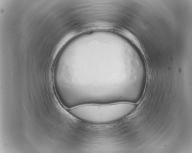 X0000070881243200607071940