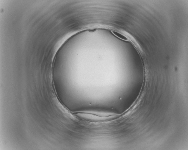 X0000070881244200607071940