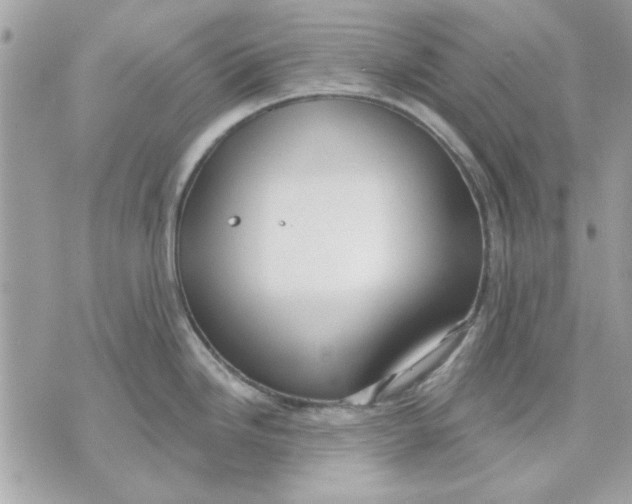 X0000070881246200607071940