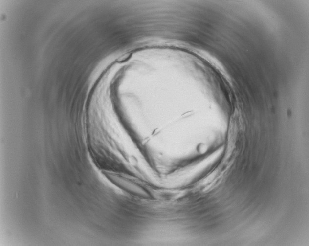 X0000070881247200607071940