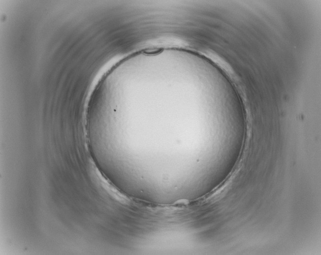 X0000070881248200607071940