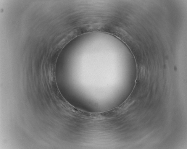 X0000070881250200607071939