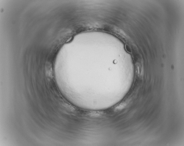 X0000070881251200607071939