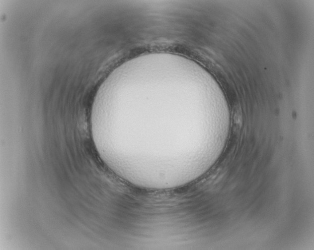 X0000070881252200607071939