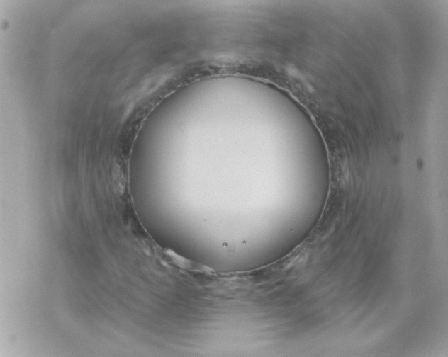 X0000070881253200607071939