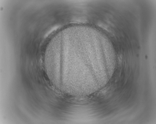 X0000070881254200607071939