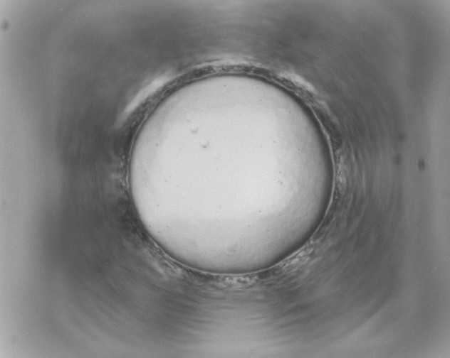 X0000070881255200607071939