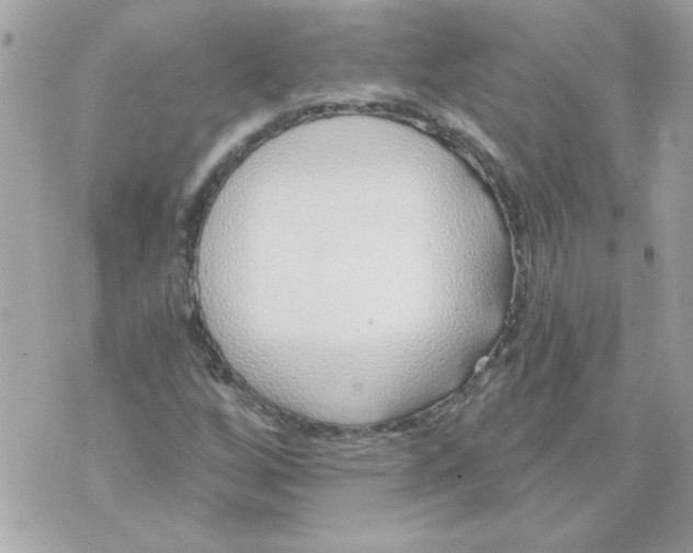 X0000070881256200607071939