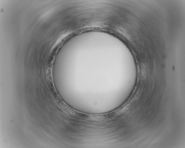 X0000070881258200607071939