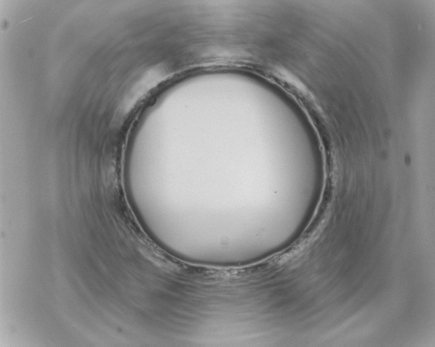 X0000070881259200607071939